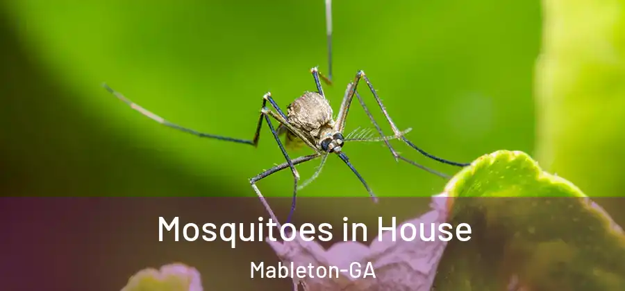 Mosquitoes in House Mableton-GA