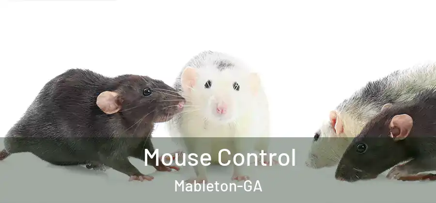 Mouse Control Mableton-GA