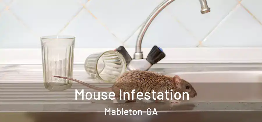 Mouse Infestation Mableton-GA
