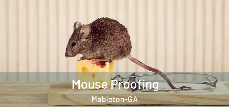 Mouse Proofing Mableton-GA
