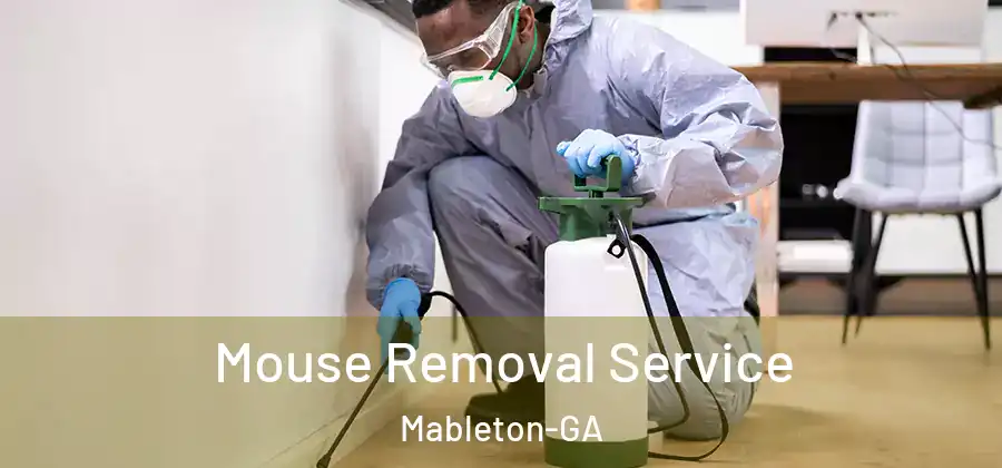 Mouse Removal Service Mableton-GA