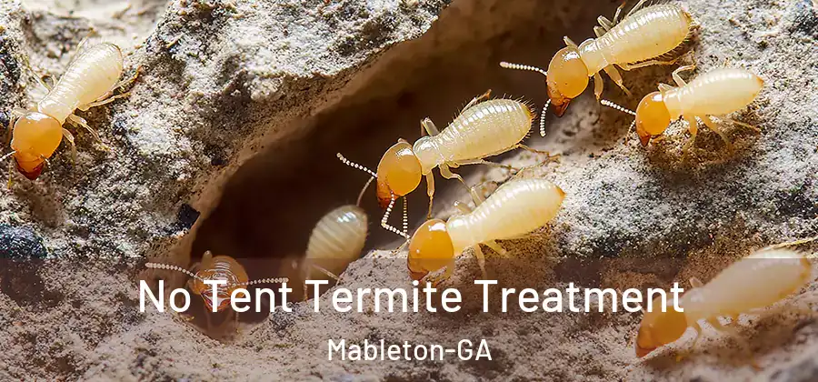 No Tent Termite Treatment Mableton-GA
