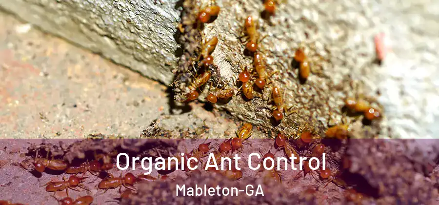  Organic Ant Control Mableton-GA