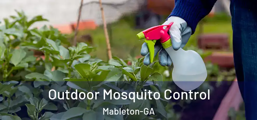 Outdoor Mosquito Control Mableton-GA