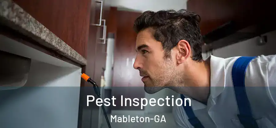 Pest Inspection Mableton-GA