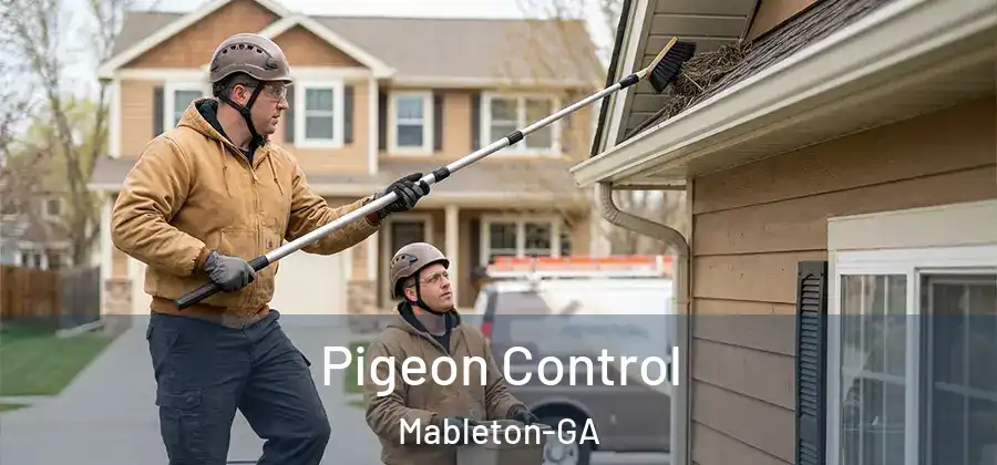 Pigeon Control Mableton-GA