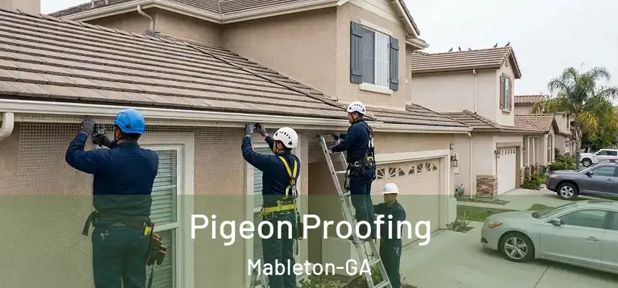 Pigeon Proofing Mableton-GA