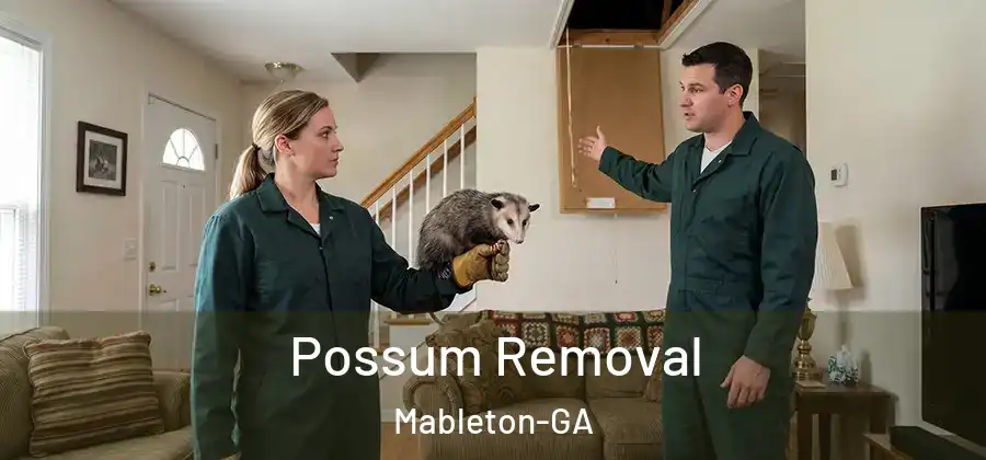 Possum Removal Mableton-GA