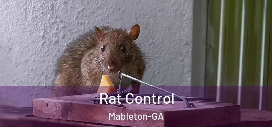 Rat Control Mableton-GA