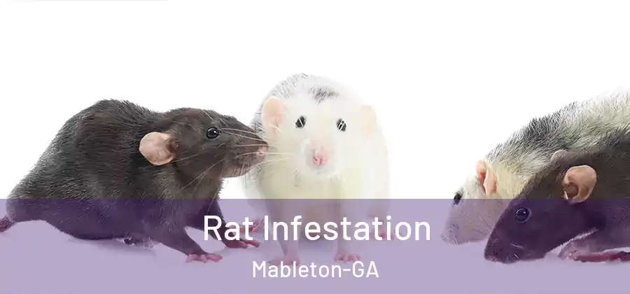  Rat Infestation Mableton-GA