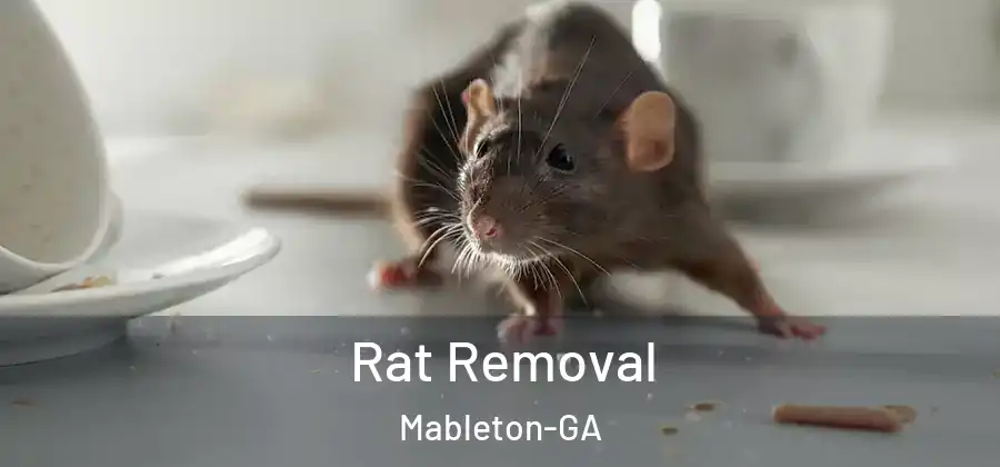 Rat Removal Mableton-GA