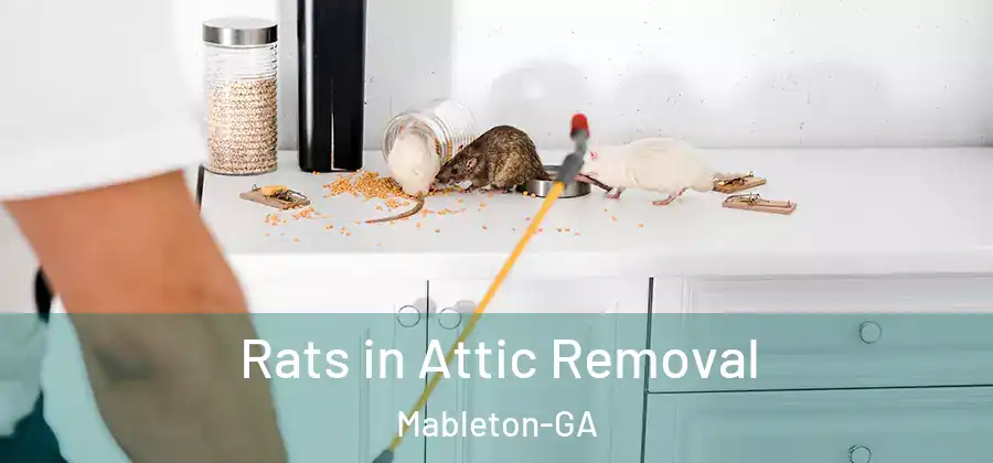 Rats in Attic Removal Mableton-GA