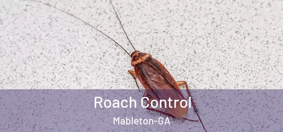  Roach Control Mableton-GA