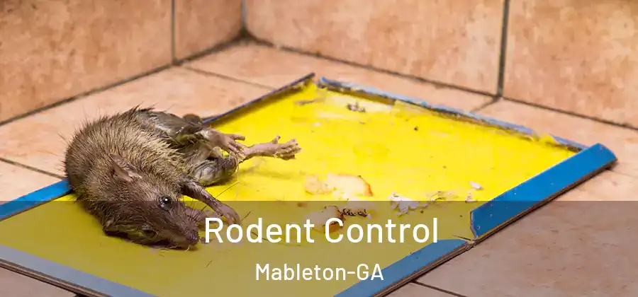 Rodent Control Mableton-GA