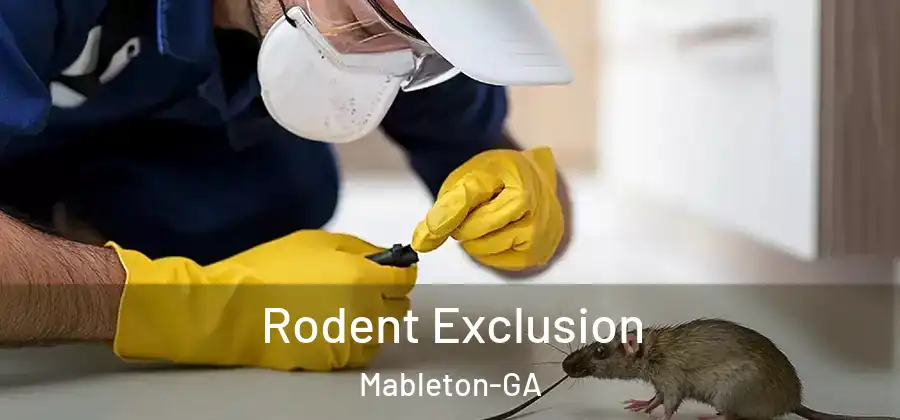 Rodent Exclusion Mableton-GA