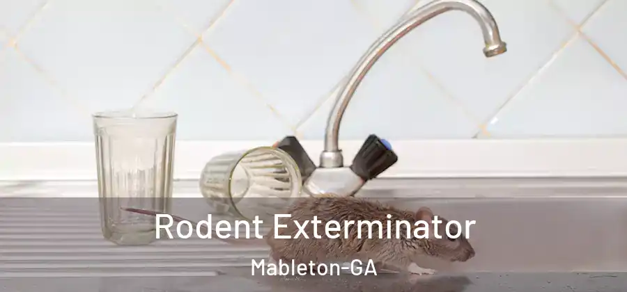 Rodent Exterminator Mableton-GA