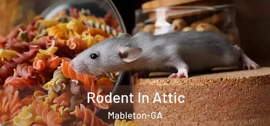  Rodent In Attic Mableton-GA