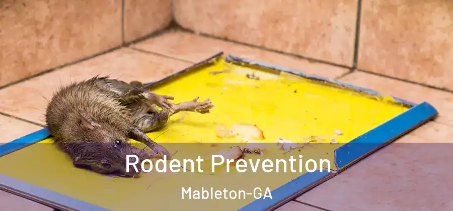  Rodent Prevention Mableton-GA