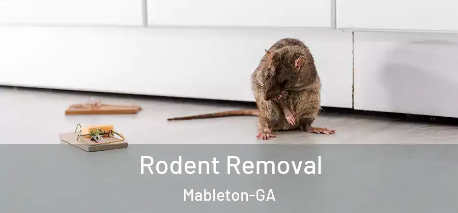  Rodent Removal Mableton-GA