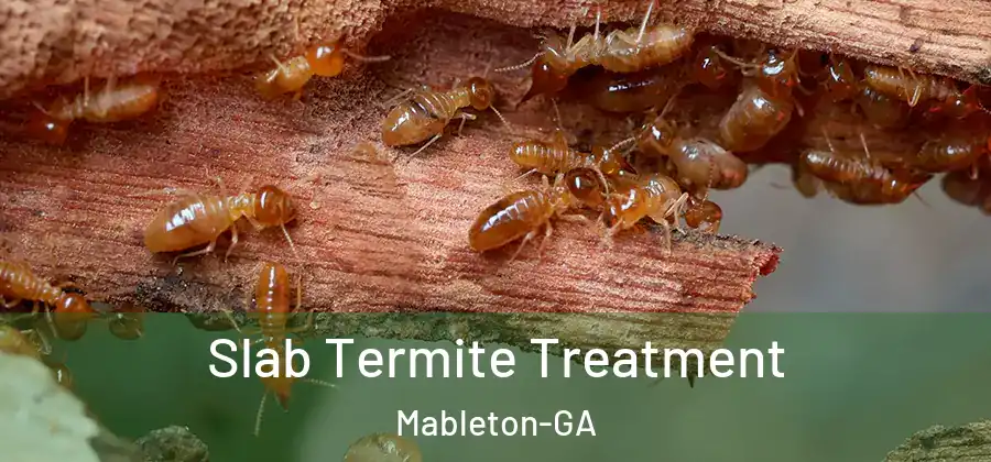 Slab Termite Treatment Mableton-GA