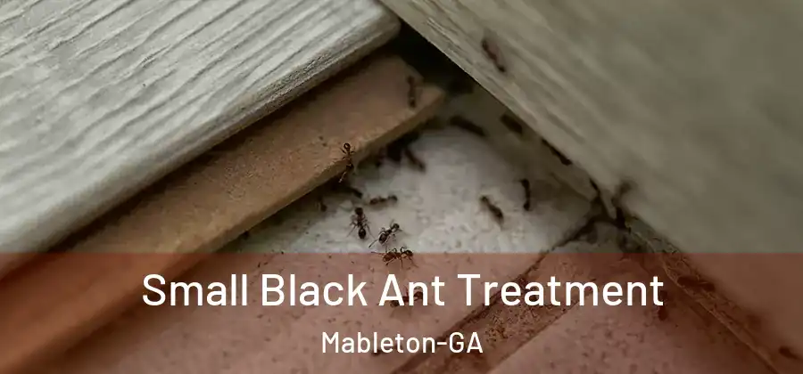  Small Black Ant Treatment Mableton-GA