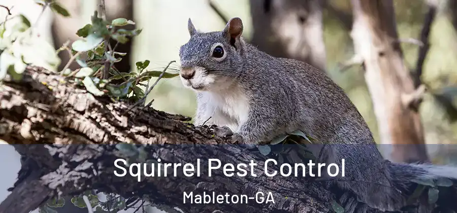 Squirrel Pest Control Mableton-GA