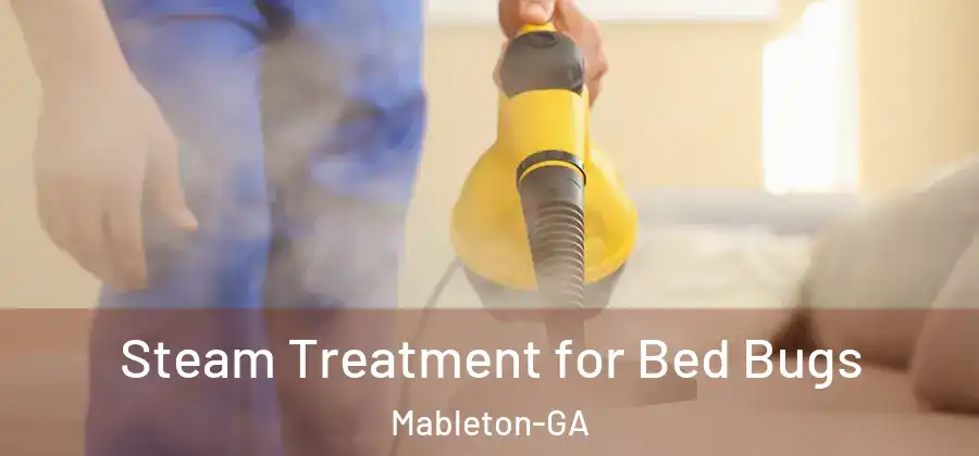 Steam Treatment for Bed Bugs Mableton-GA