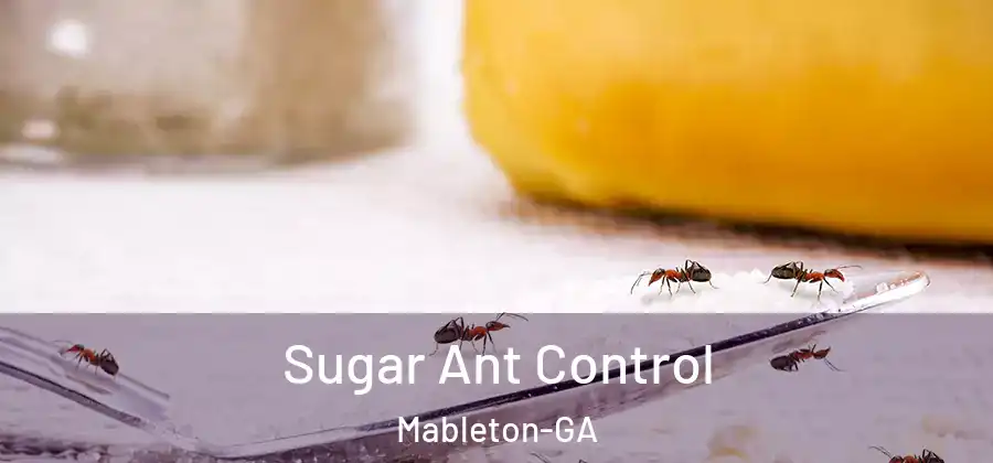  Sugar Ant Control Mableton-GA