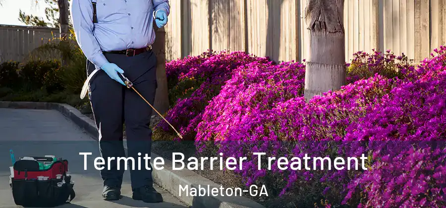 Termite Barrier Treatment Mableton-GA