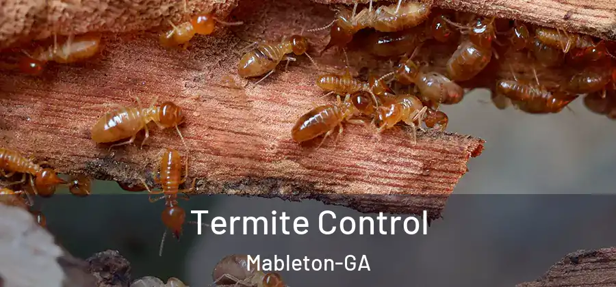  Termite Control Mableton-GA