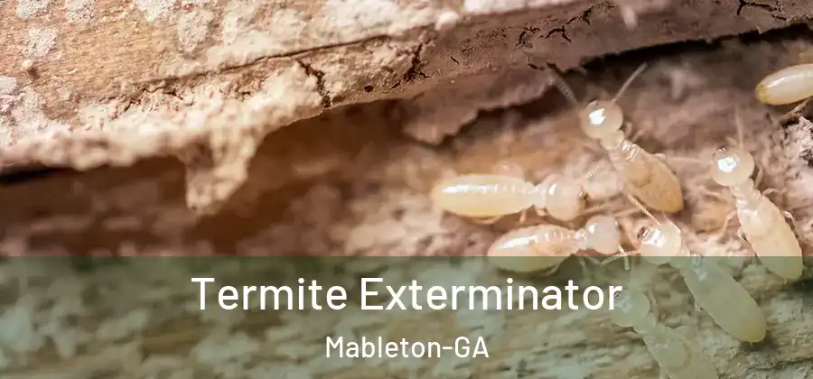 Termite Exterminator Mableton-GA