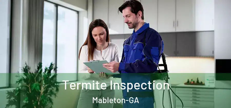 Termite Inspection Mableton-GA
