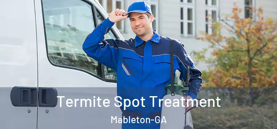 Termite Spot Treatment Mableton-GA