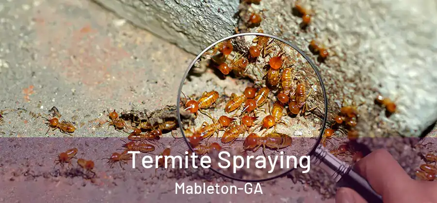 Termite Spraying Mableton-GA