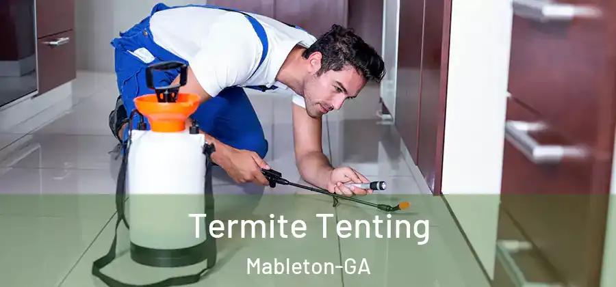 Termite Tenting Mableton-GA