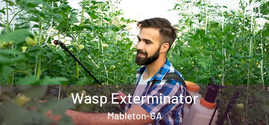 Wasp Exterminator Mableton-GA
