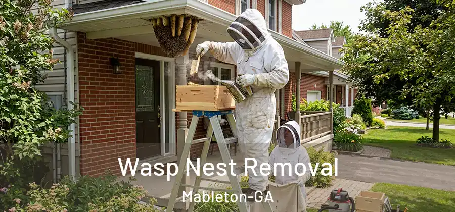  Wasp Nest Removal Mableton-GA
