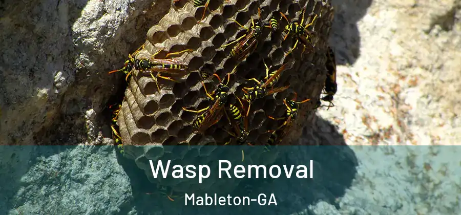 Wasp Removal Mableton-GA