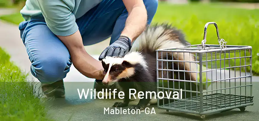 Wildlife Removal Mableton-GA