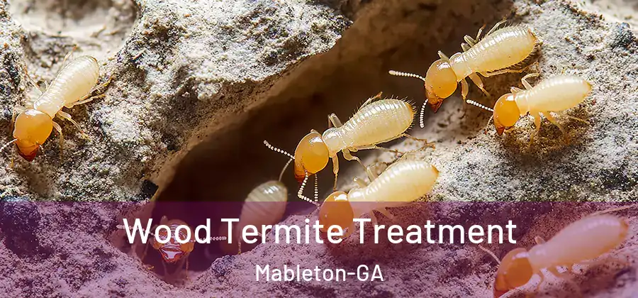 Wood Termite Treatment Mableton-GA