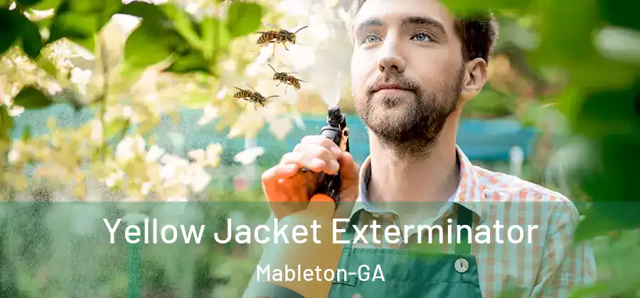 Yellow Jacket Exterminator Mableton-GA
