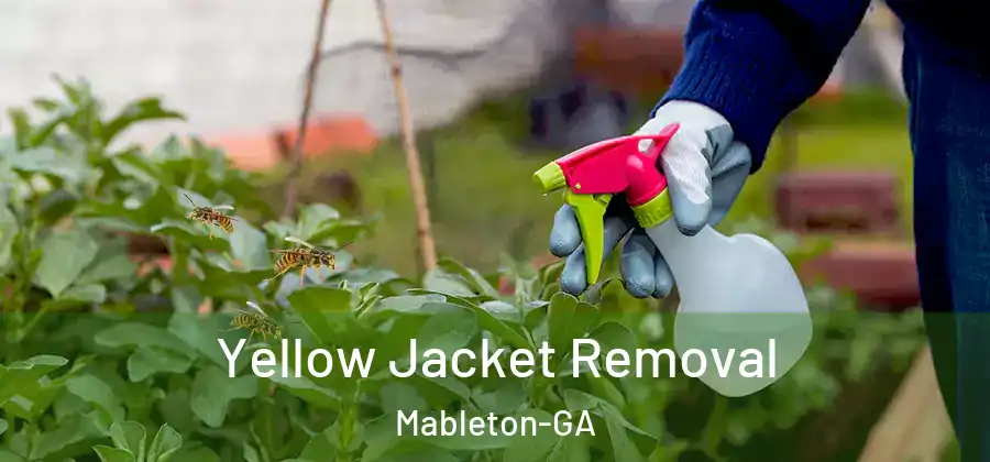 Yellow Jacket Removal Mableton-GA